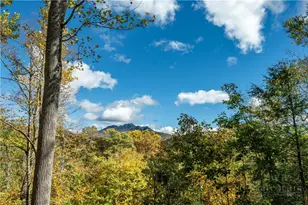 63 Two Hawks Ln, Linville, NC 28657 - Photo 41