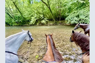 2013 Hitching Post Trail, Lenoir, NC 28645 - Photo 39