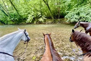 2013 Hitching Post Trl, Lenoir, NC 28645 - Photo 39