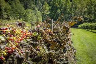 1638 Johns Ridge Pkwy, Lenoir, NC 28645 - Photo 47