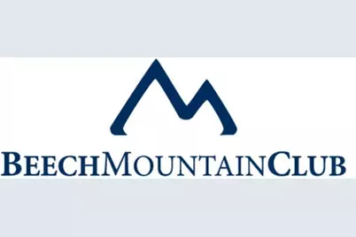 129 Lower Grouse Ridge Road, Beech Mountain, NC 28604 - Photo 29