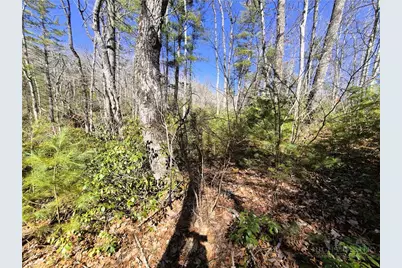 Lot 35 Smoke Rise Path, West Jefferson, NC 28694 - Photo 5