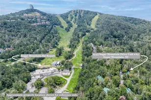 1443 Sugar Mountain Dr, Sugar Mountain, NC 28604 - Photo 3