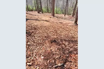 Lot66 Autumn Fern Trail, West Jefferson, NC 28694 - Photo 9