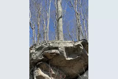 G30 Lodge Woods Trail, Banner Elk, NC 28604 - Photo 11