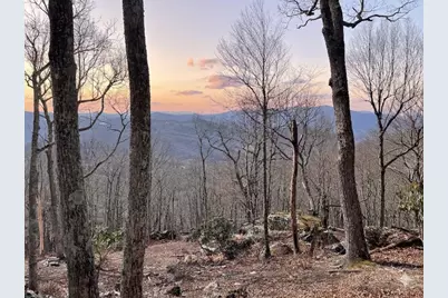 G30 Lodge Woods Trail, Banner Elk, NC 28604 - Photo 3