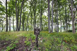 G30 Lodge Woods Trail, Banner Elk, NC 28604 - Photo 1