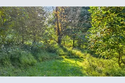 Tbd Mulatto Mountain Road, West Jefferson, NC 28694 - Photo 5