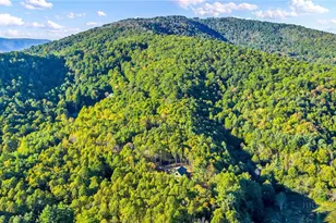 250 Noahs Ridge, Fleetwood, NC 28626 - Photo 49