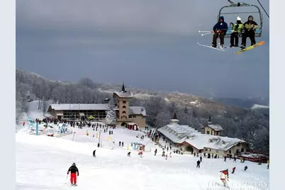 517 Pine Ridge Road, Beech Mountain, NC 28604 - Photo 39