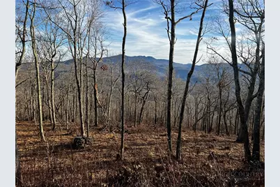 Lot 3 Chappell Farm Road, Banner Elk, NC 28604 - Photo 13