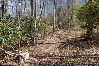 157 Oso Drive, Vilas, NC 28692 - Photo 7