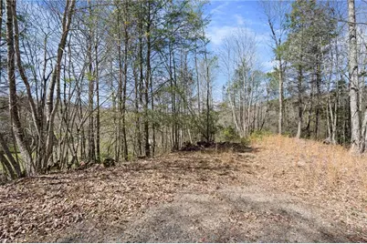 157 Oso Drive, Vilas, NC 28692 - Photo 5