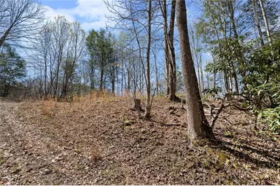 157 Oso Drive, Vilas, NC 28692 - Photo 3