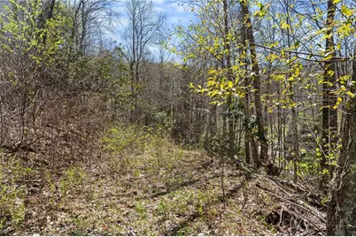 157 Oso Drive, Vilas, NC 28692 - Photo 9