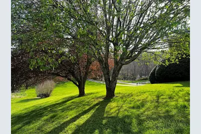 236 Walnut Ridge Road, Sparta, NC 28675 - Photo 7