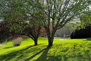 236 Walnut Ridge Rd, Sparta, NC 28675 - Photo 7