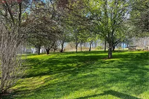 236 Walnut Ridge Rd, Sparta, NC 28675 - Photo 47