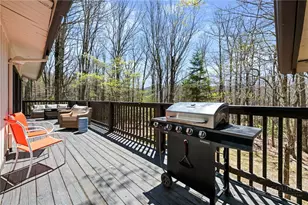 811 Pine Ridge Rd, Beech Mountain, NC 28604 - Photo 21