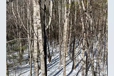 Tbd (13 & 14) Timberwilde Drive, Laurel Springs, NC 28644 - Photo 13