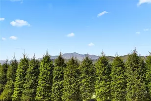 107 Mayview Manor Ct, Blowing Rock, NC 28605 - Photo 11