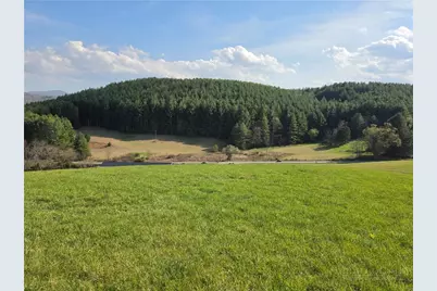 Tbd Nc Highway 93 Highway, Piney Creek, NC 28663 - Photo 3