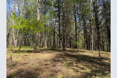 Tbd (0.96 Acre) Crestview Drive West, Creston, NC 28615 - Photo 1