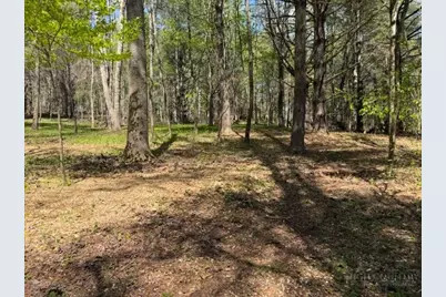 Tbd (0.96 Acre) Crestview Drive West, Creston, NC 28615 - Photo 5