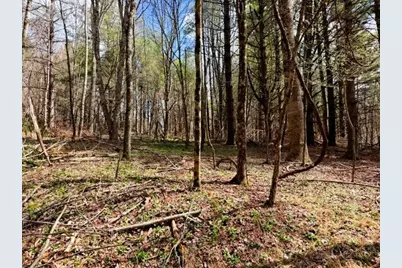 Tbd (0.96 Acre) Crestview Drive West, Creston, NC 28615 - Photo 13