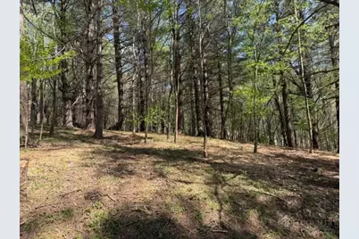 Tbd (0.96 Acre) Crestview Drive West, Creston, NC 28615 - Photo 7
