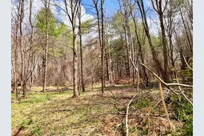 Tbd (0.96 Acre) Crestview Drive West, Creston, NC 28615 - Photo 3