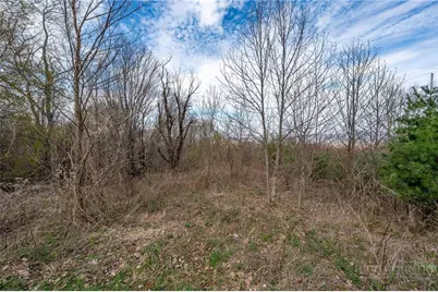Lot H25 Buffalo Nvno, Zionville, NC 28698 - Photo 31
