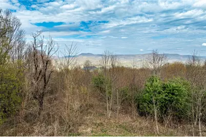 Lot H25 Buffalo Nvno, Zionville, NC 28698 - Photo 21
