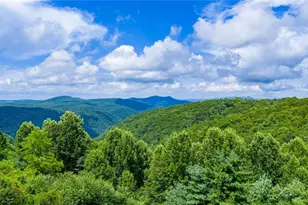 50 Mitchell River Rdg, Roaring Gap, NC 28668 - Photo 39