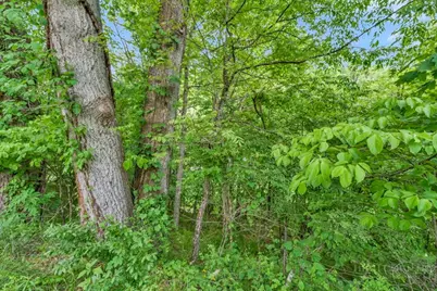 Lot 23/24 Cristina Lane, Vilas, NC 28692 - Photo 23