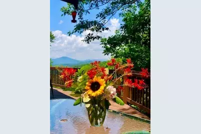 519 Wintergreen Drive, Boone, NC 28607 - Photo 41