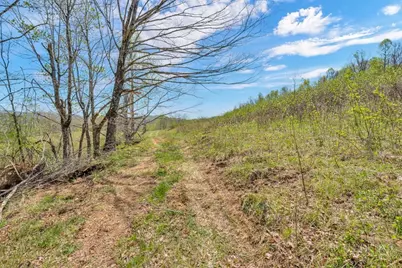 Tbd Beaver Horn Ranch Road, Vilas, NC 28692 - Photo 11