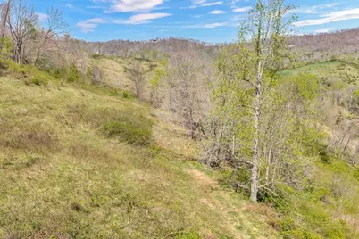 Tbd Beaver Horn Ranch Road, Vilas, NC 28692 - Photo 9