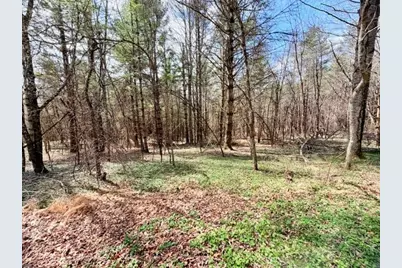 Tbd (1.014 Acre) Crestview Drive West, Creston, NC 28615 - Photo 5