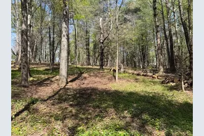 Tbd (1.014 Acre) Crestview Drive West, Creston, NC 28615 - Photo 9