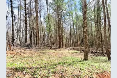 Tbd (1.014 Acre) Crestview Drive West, Creston, NC 28615 - Photo 3