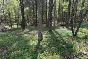 Tbd (0 834) Crestview Dr W, Creston, NC 28615 - Photo 1