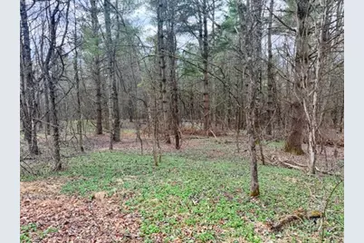 Tbd (0.834) Crestview Drive West, Creston, NC 28615 - Photo 5