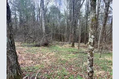 Tbd (0.834) Crestview Drive West, Creston, NC 28615 - Photo 7
