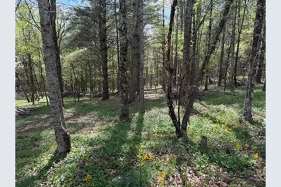 Tbd (0.834) Crestview Drive West, Creston, NC 28615 - Photo 3