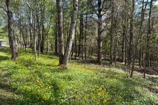 Tbd (1 Acre) Crestview Dr W, Creston, NC 28615 - Photo 1