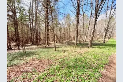 Tbd (1 Acre) Crestview Drive West, Creston, NC 28615 - Photo 5