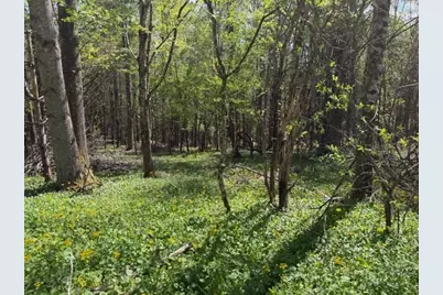 Tbd (1 Acre) Crestview Drive West, Creston, NC 28615 - Photo 15