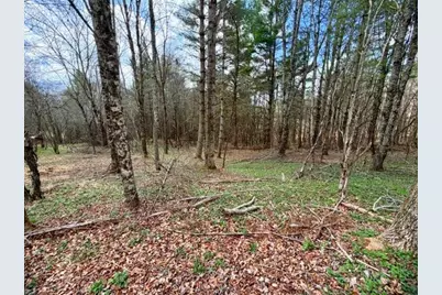 Tbd (1 Acre) Crestview Drive West, Creston, NC 28615 - Photo 9
