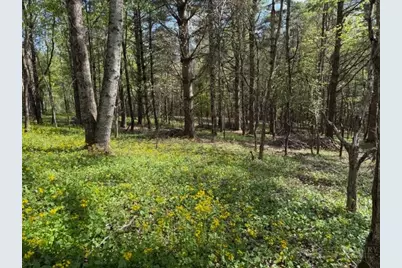 Tbd (1 Acre) Crestview Drive West, Creston, NC 28615 - Photo 3